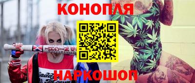 прущие грибы Моздок