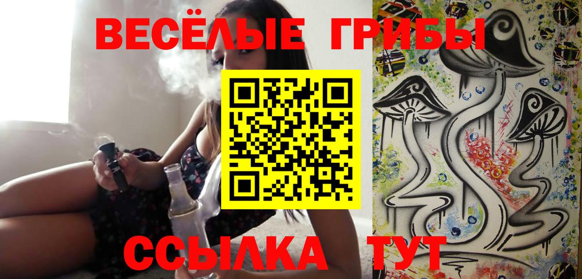 Галлюциногенные грибы Cubensis Фрязино